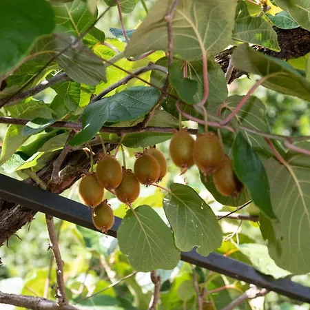 Διαμέρισμα Sanja - Two Bedroom With Terrace And Sea View *