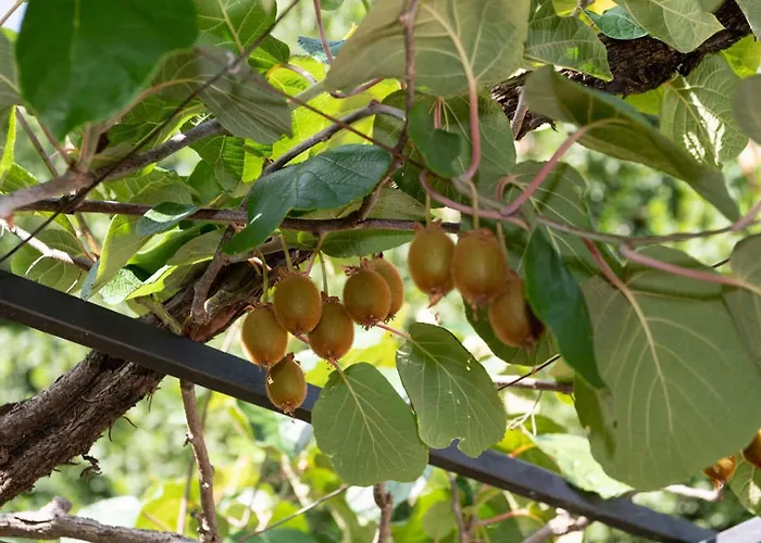 Apartment Sanja - Two Bedroom With Terrace And Sea View *