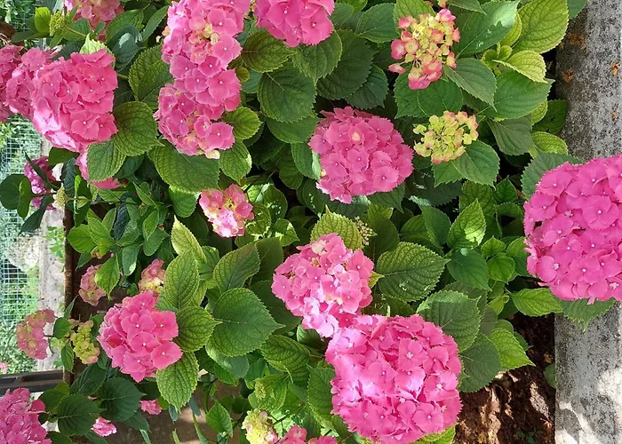 Apartment Sanja - Two Bedroom With Terrace And Sea View *