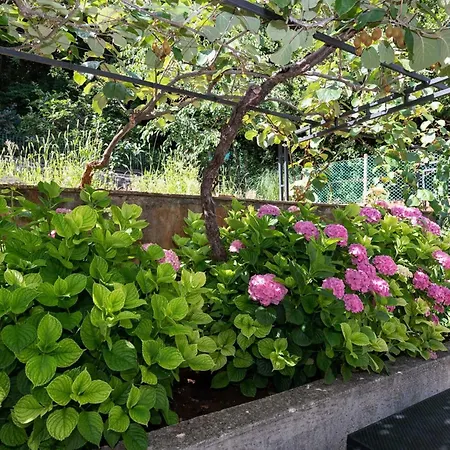 Sanja - Two Bedroom With Terrace And Sea View Апартаменты