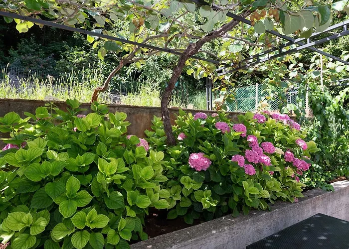 Sanja - Two Bedroom With Terrace And Sea View Appartement